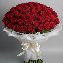 Букет 101 Красная роза Блэк Мэджик в Белогорске Республики Крым