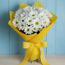 Букет цветов из:  Хризантемы в Белогорске Республики Крым