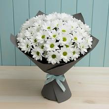 Букет цветов из:  Хризантемы #REPLACE_PRED# Белогорске Республики Крым