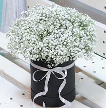 Цветочная композиция из Гипсофила в шляпной коробке #REPLACE_PRED# Белогорске Республики Крым