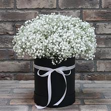 Цветочная композиция из Гипсофила в шляпной коробке в Белогорске Республики Крым