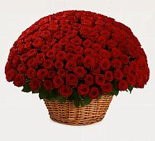 Премиум букет из: Розы #REPLACE_PRED# Белогорске Республики Крым